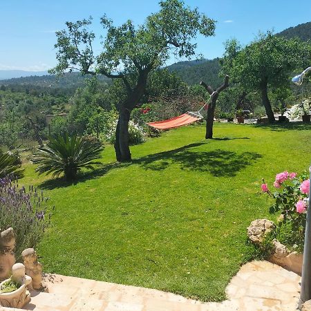 Villa Sa Teulera Etv7398 Alaró Екстериор снимка